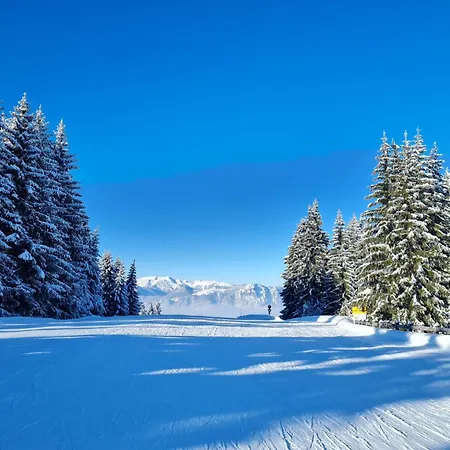 Apartment Alpine Auszeit By Interhome *